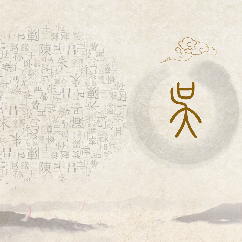 吴氏宗谱编印