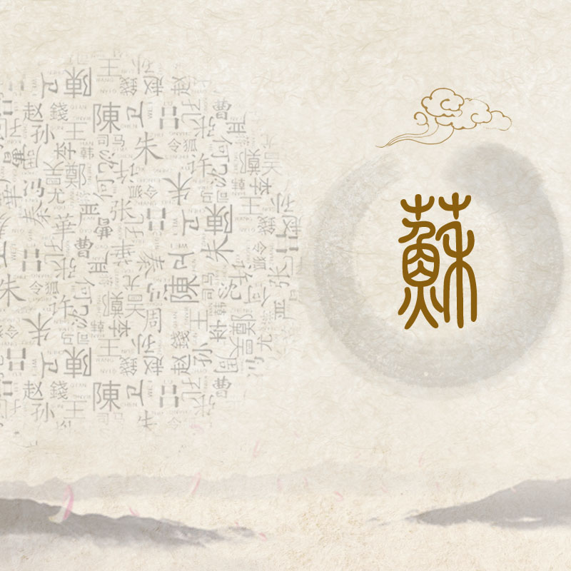苏氏族谱设计